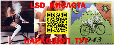 шишки Донской