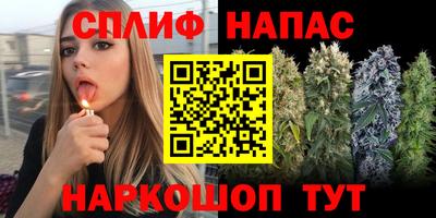гидропоника Дубна