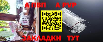 шишки Донской