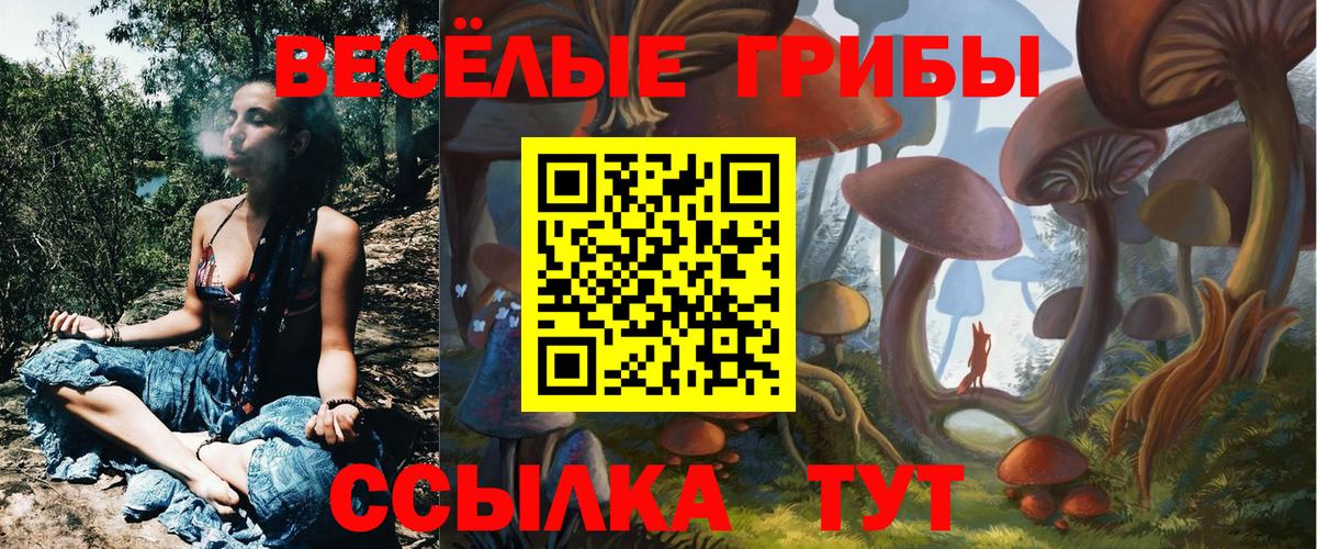 Люберцы  Псилоцибиновые грибы MAGIC MUSHROOMS  Галлюциногенные грибы MAGIC MUSHROOMS  Вход с VPN 